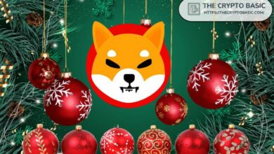 شيبا إينو تكشف أخباراً هامة لعيد الميلاد القادم: اكتشف التفاصيل الآن!