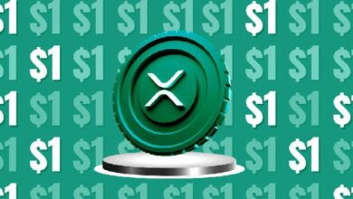 توقعات سعر XRP ليوم 23 نوفمبر: اكتشف الآن!