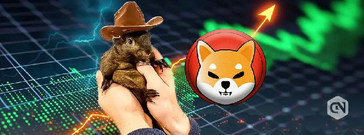 هبوط PNUT بنسبة 30% وتراجع Shiba Inu (SHIB) بنسبة 4.6% خلال أسبوع - اكتشف الأسباب الآن!