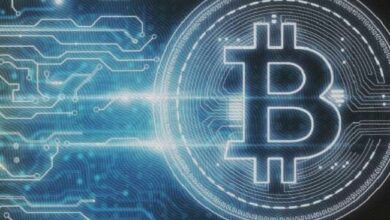 ارتفاع نشاط الحيتان: كبار المستثمرين يراهنون بقوة على البيتكوين مع تقلبات الأسعار - اكتشف المزيد!