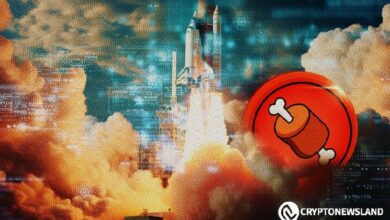 اقتراب اختراق BONE/USDT مع دعم قوي ومستويات مستهدفة - اكتشف التفاصيل!