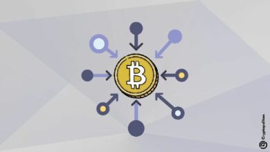 تم تقديم البيتكوين كعملة الشعب، لكن هل هي بالفعل لا مركزية كما يُروج لها؟ اكتشف الحقيقة الآن!