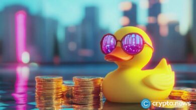 "أوك جروف فنتشرز تستثمر 5 ملايين دولار في دك تشين لتعزيز الابتكار في البلوكتشين – اكتشف التفاصيل الآن"