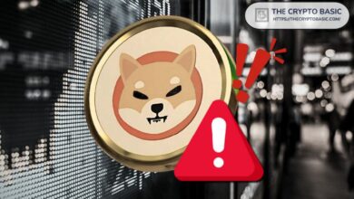 تحذير رسمي جديد من شيبا إينو حول شيرو نيكو - اكتشف التفاصيل الآن!