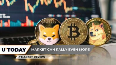 البيتكوين (BTC) يتعثر في تجاوز $100,000، دوجكوين (DOGE) قد تصل إلى $0.5، هل شكلت شيبا إينو (SHIB) نمط كوب مخفي؟ اكتشف التفاصيل الآن!