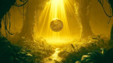 نهاية موسم العملات البديلة؟ مؤسسو Glassnode يحذرون من تراجع العملات البديلة بعد تصحيح الأسبوع الماضي - اكتشف التفاصيل!