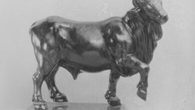 إليكم مستقبل إيثريوم: هل يصل سعر إيثير إلى 5000 دولار مع تزايد النشاط والطلب المؤسسي؟