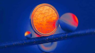 كيف يُعتبر حكم تورنادو كاش انتصارًا للعملات المشفرة: اكتشف المزيد!