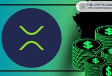 خبير يصرح: إذا كنت تكسب 30 ألف دولار، قد تكون XRP أفضل استثمار في حياتك — اكتشف المزيد الآن!