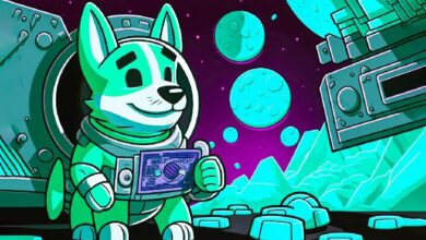 هاكر يستغل ثغرة دوجكوين (DOGE) ويتسبب في انهيار 69% من العقد - اكتشف التفاصيل!