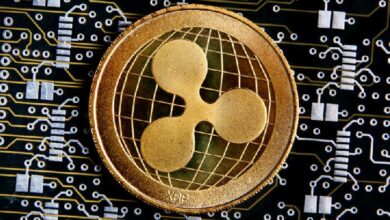 ارتفاع "مذهل" لـ XRP مدفوع بآمال تنظيمية وتكهنات بشأن ETF: اكتشف الآن!