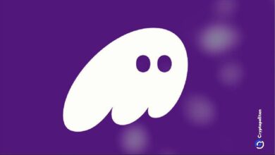 محفظة فانتوم تقدم تبادلات مباشرة لرموز Pump.fun وMoonshot - اكتشف الآن!