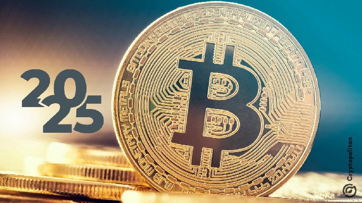 محللو سيتي يتوقعون العوامل الحاسمة لمستقبل العملات الرقمية في عام 2025 - اكتشف التفاصيل الآن!