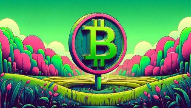 خطة B تؤكد توقعها الهائل لسعر البيتكوين في قمة دورة السوق - اكتشف نظرتها المستقبلية الآن