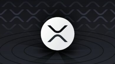 شركة BC Bud Co العامة تستثمر في XRP لزيادة قيمة المساهمين - اكتشف المزيد الآن!