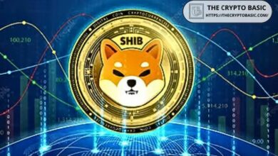 شيبا إينو يحقق ترتيباً مميزاً على MetaMask رغم تعثر الصعود - اكتشف التفاصيل الآن!