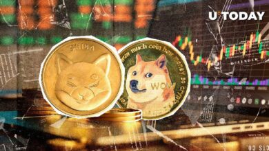شيبا إينو vs دوجكوين: شيبا إينو تغلق الفجوة بارتفاع سعر 20% 클 کنید الآن!