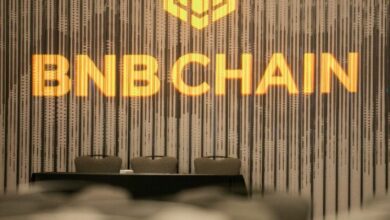 سلسلة BNB: المحفّز الصامت لإعادة تعريف الويب 3 - اكتشف كيف!