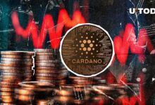 هل وصل كاردانو إلى القاع أخيرًا؟ ارتداد السعر قيد التنفيذ - اكتشف التفاصيل الآن!