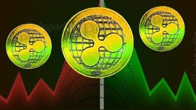 أخبار هامة لعملة XRP: هل تستعد شركة Flare لإعلان كبير؟ اكتشف المزيد الآن!