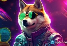 انخفاض سعر شيبا إينو ومعدل الحرق: هل حان وقت البيع؟ اكتشف الآن!