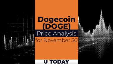 توقعات سعر دوجكوين ليوم 30 نوفمبر - اكتشف الآن!