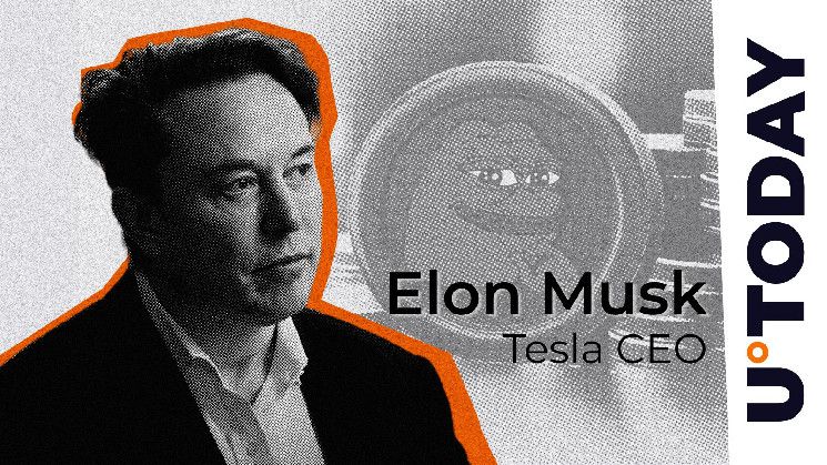 إيلون ماسك يصدم مجتمع PEPE بمنشور لفيلم غلادياتور - العملة ترتفع بنسبة 14%! اقرأ التفاصيل