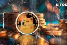 تصفية 20,168,692 دوجكوين (DOGE) خلال 24 ساعة: اكتشف ما حدث!