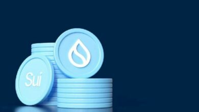 اكتشاف 300 مليون دولار من عملة SUI على شبكة سوي في 1 يناير 2025 – ما الخطوة التالية؟