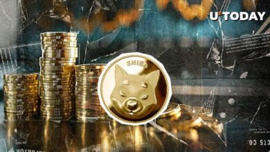 شيبا إينو (SHIB) تنتظر مستوى 64 تريليون: اكتتاب مذهل - اكتشف الآن!