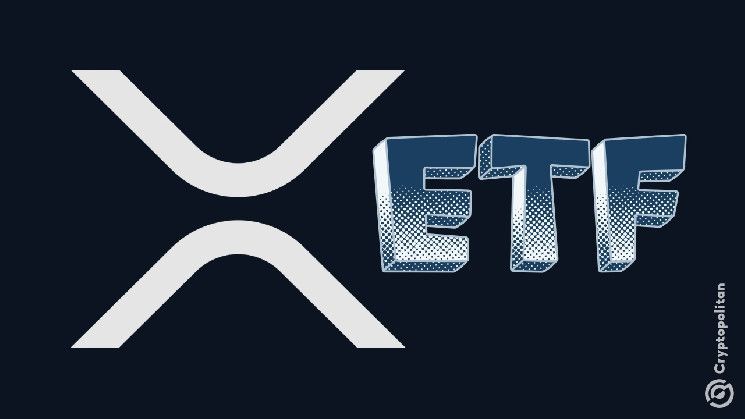 بيانات بوليماركت: فرصة بنسبة 82٪ للموافقة على ETF للريبل XRP في 2025 - اكتشف التفاصيل!