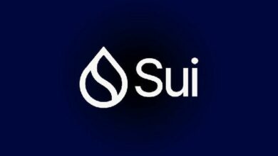 عملية استغلال شبكة Sui تؤدي إلى سرقة وغسل رموز بقيمة 29 مليون دولار - اكتشف التفاصيل الآن!