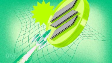 رحلة سولانا (SOL) التصاعدية تعتمد على ثبات الدعم عند $211 - اكتشف التفاصيل!