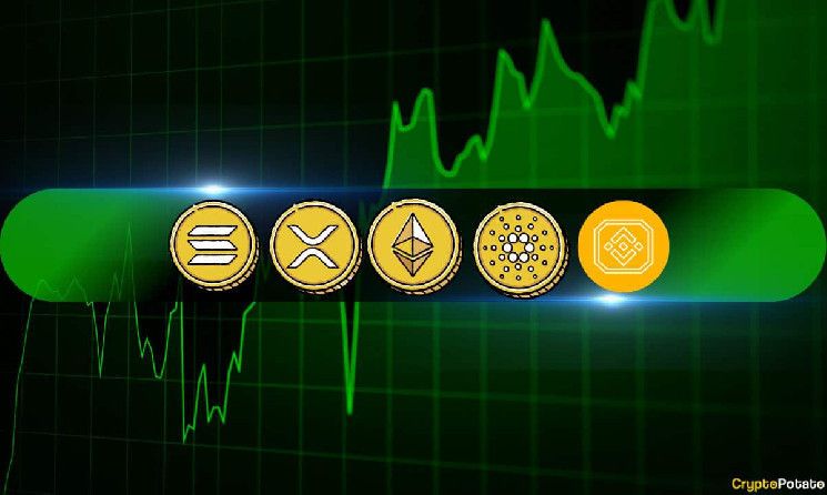 تحليل أسعار العملات المشفرة 24 يناير: إيثريوم وريبيل وكاردانو وبي إن بي وسولانا - اكتشف التفاصيل الآن!