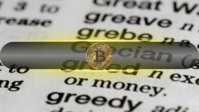 الطمع وفومو يسيطران على سوق بيتكوين مع عودة ترامب إلى البيت الأبيض - اكتشف التفاصيل الآن!