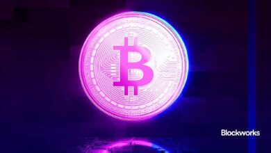 لماذا قد تلجأ شركات التمويل التقليدي إلى قروض هامش البيتكوين: اكتشف رؤية المدير التنفيذي لشركة مابل