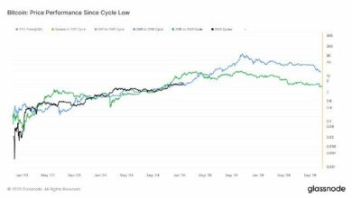 بيتكوين قد تتجاوز 1 مليون دولار بنهاية العام إذا استمرت باتباع دورة 2017: اكتشف التفاصيل الآن مع فان ستراتن