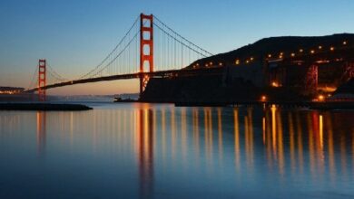 الرئيس التنفيذي لسوفي يكشف عن عودة قوية للعملات المشفرة تحت ترامب - اكتشف المزيد!