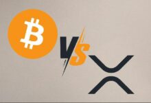 منافسة XRP وبيتكوين: ما كمية XRP التي تحتاجها للانضمام إلى عائلة XRP؟ اكتشف الآن!