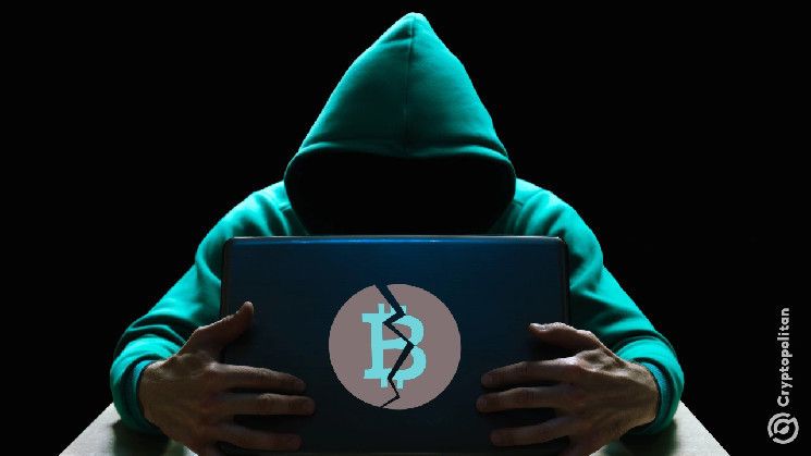 محاسب ماليزي يفقد نصف مليون دولار للمحتالين في بيتكوين - اكتشف التفاصيل واحمِ استثماراتك!