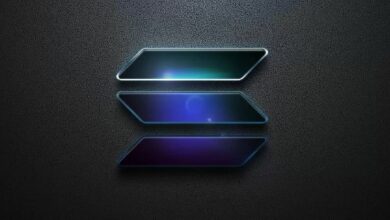 ما مستوى السعر المتوقع هذا العام بعد الوصول إلى أعلى قيمة في سولانا؟ اكتشف تحليلات الخبير!