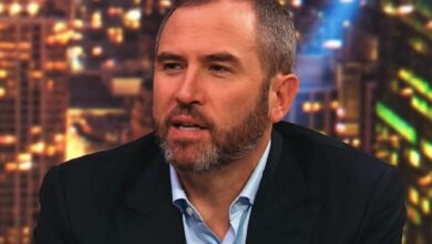 الرئيس التنفيذي لريبل يعارض إنشاء احتياطي بيتكوين - اكتشف التفاصيل