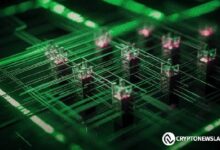 "روبنهود ترتفع بنسبة 623٪ باستخدام استراتيجيات التوسع لتحقيق مكاسب طويلة الأمد - اكتشف المزيد الآن!"