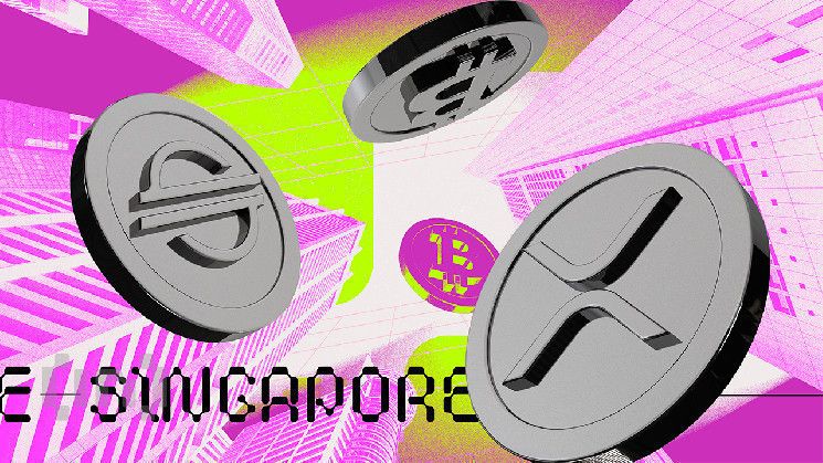 اكتشف كيف أصبحت سنغافورة الدولة الأكثر وداً للعملات الرقمية في العالم