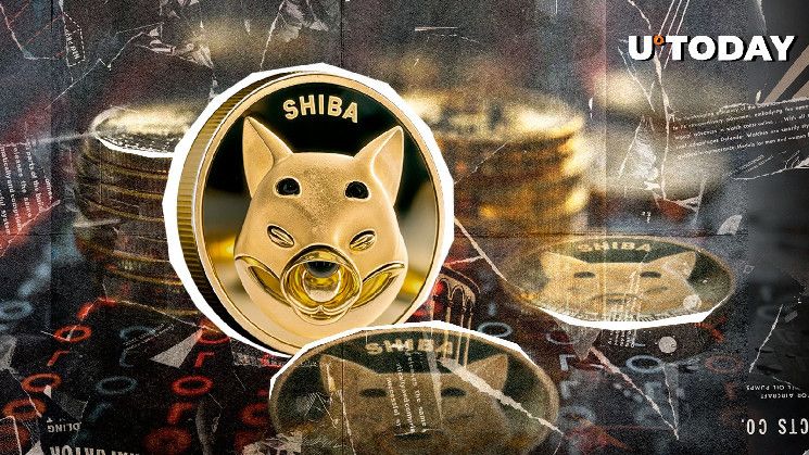 شيبا إينو (SHIB) يخسر 0.00002 دولار: مستوى حاسم يختفي - ما التالي؟