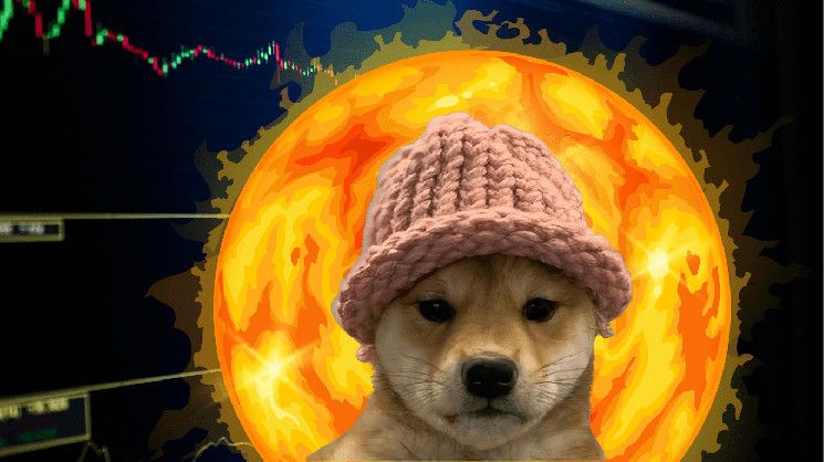 توقعات سعر عملة دوجويفهات (WIF): هل سينعكس الاتجاه أم هناك المزيد من الانخفاضات؟ اكتشف الآن!