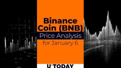 توقعات سعر عملة بينانس (BNB) ليوم 6 يناير - اكتشف الآن!