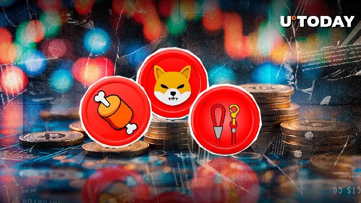 مطوّر SHIB يُصدر تحذيرًا هامًا: شيبا إينو، بون، ليش غير موجودة على سولانا! اكتشف الآن