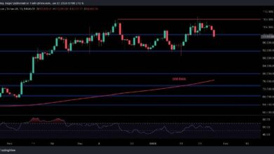 تحليل سعر البيتكوين: هل يتجه BTC للتراجع إلى 92 ألف دولار إذا أغلق دون الدعم الهام؟ اكتشف التفاصيل الآن!