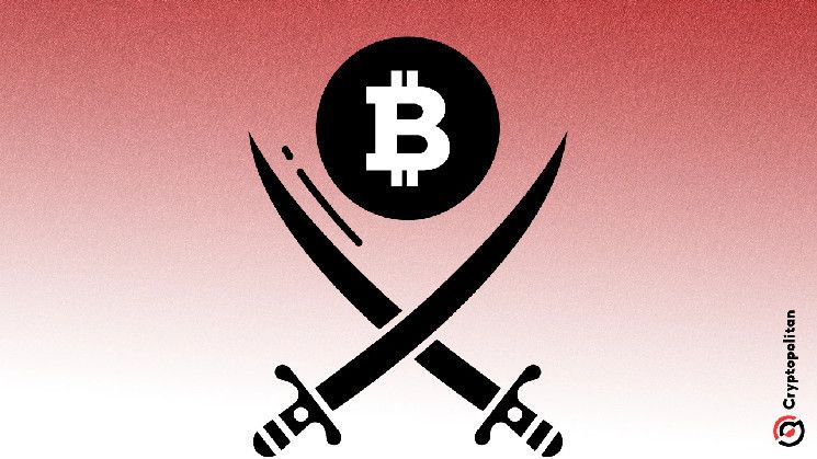 عودة الحروب القبلية في عالم العملات الرقمية – حتى الدعم الحكومي لا يكبح جنون المستثمرين! اكتشف المزيد الآن!